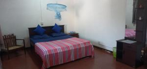 Postel nebo postele na pokoji v ubytování Heritage Villa colombo7