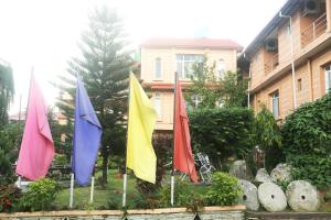 Zahrada ubytování Hotel M&D Suites