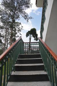 a set of stairs with green railings and trees at The Tredis Heritage by the Lake in Kodaikānāl