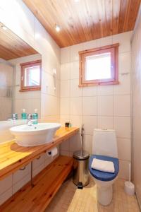 a bathroom with a white sink and a toilet at Vaeltajanmaja in Saariselka