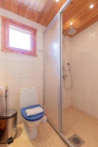 a bathroom with a toilet and a shower with a window at Vaeltajanmaja in Saariselka