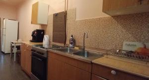 a kitchen with a sink and a stove at House 56 in Yerevan +41 photos