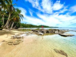 Private Villa with Pool & Heated Jacuzzi, AC, Jungle Garden Near Amenities & Beach في Talamanca: شاطئ رملي مع أشجار النخيل والمحيط