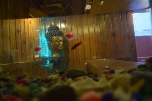 Foto Katmandus asuva majutusasutuse Hotel Shree Tara galeriist
