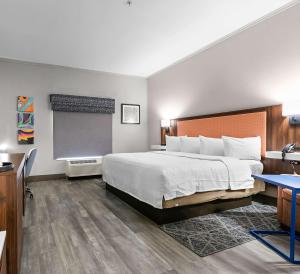 Postel nebo postele na pokoji v ubytování Hampton Inn Seguin