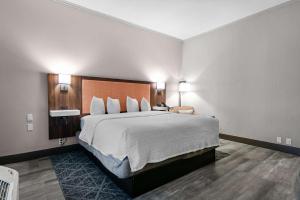Postel nebo postele na pokoji v ubytování Hampton Inn Seguin