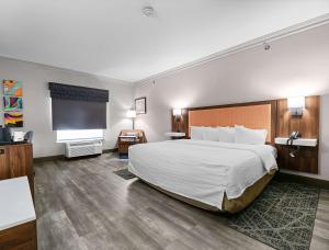 Postel nebo postele na pokoji v ubytování Hampton Inn Seguin