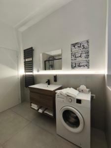 a bathroom with a washing machine and a sink at La Terrazza in Centro in Treviglio