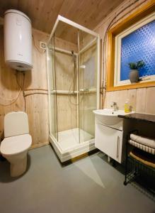 a bathroom with a shower and a toilet and a sink at Fredelig og landlig hytte in Iveland