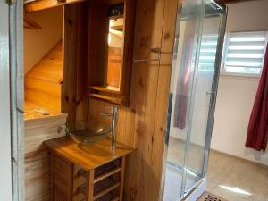 a bathroom with a sink and a glass shower at Studio meuble in Marssac-sur-Tarn