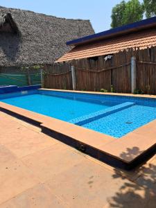 Bazén v ubytování Pondy Jungle Resort with Swimming pool nebo v jeho okolí