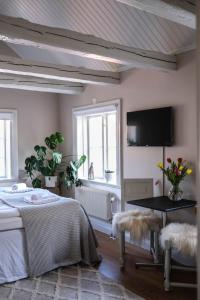 TV a/nebo společenská místnost v ubytování Johannas GuestHouse