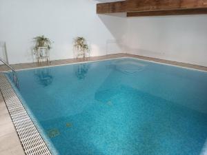The swimming pool at or close to Hotel Villa Isabella