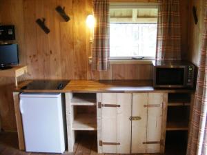 a kitchen with a counter with a refrigerator and a microwave at Groepsverblijf (18p) – 3 Houtlodges bij elkaar op Vakantiepark De Boshoek in Voorthuizen