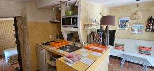 een keuken met een spoelbak en een aanrechtblad bij Notre Cabanon en Provence in Auriol