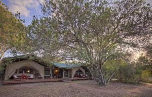 Zahrada ubytování Kicheche Laikipia Camp