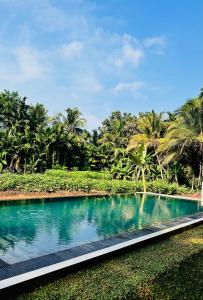 Kolam renang di atau dekat dengan Blue Mountains View