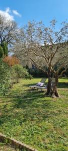 een parkbank in een veld met een boom bij Maison Gorges du Gardon in Collias