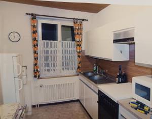 Η κουζίνα ή μικρή κουζίνα στο Stylish Flat 10 Minutes to Basel City Center