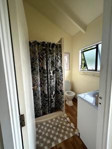 a bathroom with a toilet and a shower curtain at Coastal Escape - Cooks Beach in Cooks Beach