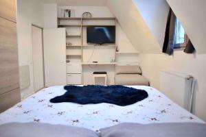 a bedroom with a bed and a tv in a room at Vives les vacances 4 Ch in Arques-la-Bataille