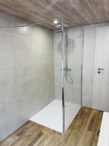 a shower with a glass door in a bathroom at La Tanière du Katz in Dabo +7 photos