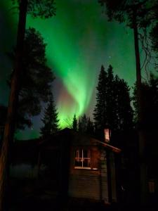 MeltosjärviにあるBlue Moment at the Arctic Circle- Forest, beach, activitiesの小屋上のオーロラ像