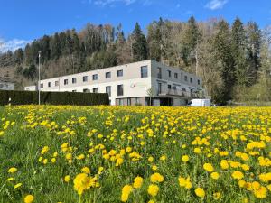 a field of yellow flowers in front of a building at Hotel Swiss Bellevue Oberwangen in Oberwangen