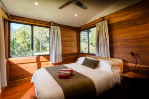 a bedroom with a bed with wooden walls and windows at Promised Land Retreat in Bellingen