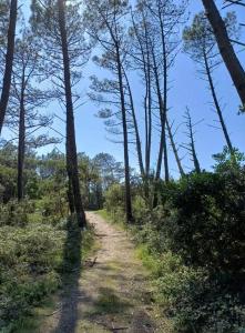 a dirt road through a forest with trees at Ô'BEL AIR in Azur