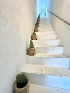 Foto dalla galleria di Domus Olea & Opuntia Salento a Galatone