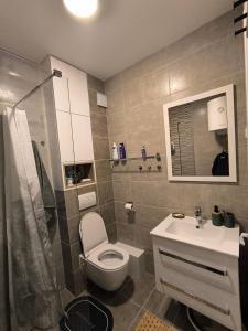 a bathroom with a toilet and a sink at COMODO "Green Hill" in Soko Banja