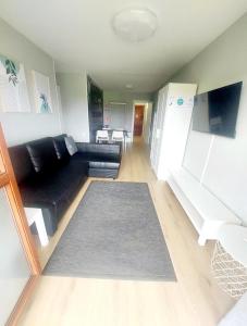 a living room with a black couch and a rug at EL RINCON DE AJO two people or less only one room available in Ajo +33 photos