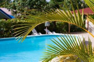 Bazén v ubytování Hotel Le Rotabas nebo v jeho okolí