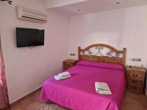 a bedroom with a pink bed with a tv on the wall at Habitaciones y Estudios Miramar in Bolonia