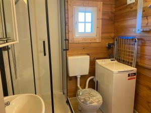 a small bathroom with a toilet and a sink at Ferienhäuschen in Beetz - in 5 min am See und Wald in Kremmen +18 photos