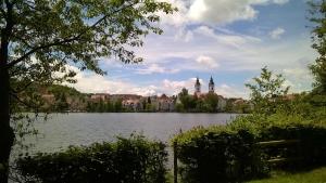 a view of a lake with a city in the background at Ferienwohnung beim Ried in Bad Waldsee