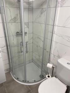 a bathroom with a shower with a toilet at Shilties Pod in Carlingford