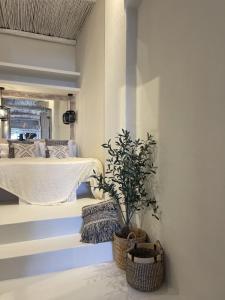 een kamer met een tafel en een potplant bij Loft 1 Beachfront Porto Faro in Palau +26 foto's