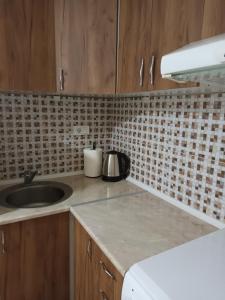a kitchen with a sink and a counter top at Apartment Leona in Inđija +6 photos