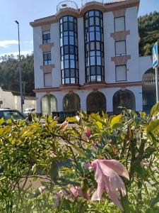 a building with a pink flower in front of it at Atico en Tina Mayor in Unquera