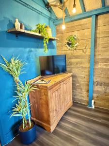 a television on a wooden stand in a room with plants at The Thomas Tripp Pub - The Tripp Upstairs - Two Bedroom Apartment in the Heart of Christchurch in Christchurch +10 photos