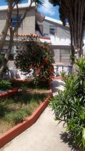 Φωτογραφία από το άλμπουμ του Appartamento in Villa con giardino (2) σε Porto Torres +40 φωτογραφίες