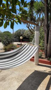 Φωτογραφία από το άλμπουμ του Appartamento in Villa con giardino (2) σε Porto Torres