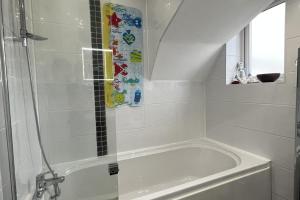 a bathroom with a shower and a bath tub at Mumbles Seaside sleeps up 11 Pets allowed in Swansea +29 photos