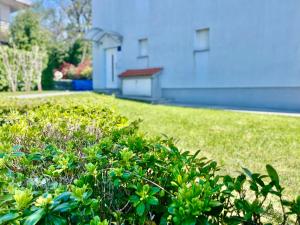 Zahrada ubytování Apartments - Villa Sidro