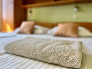 Postel nebo postele na pokoji v ubytování Apartments - Villa Sidro