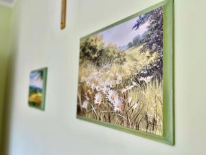Fotografie z fotogalerie ubytování Apartments - Villa Sidro v destinaci Jadranovo