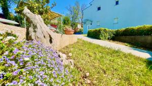 Zahrada ubytování Apartments - Villa Sidro