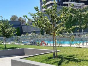 a tree in a park next to a swimming pool at Comodidad y tranquilidad en Ñuñoa in Santiago